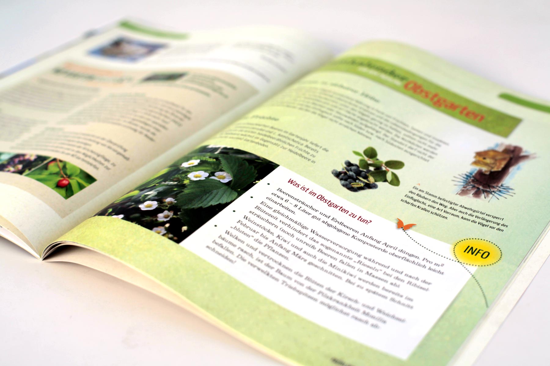 Beispiel Innenseite Obstgarten Magazin Natur im Garten