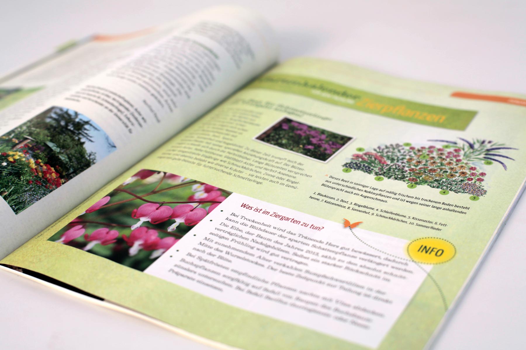 Beispiel Innenseite Ziergarten Magazin Natur im Garten