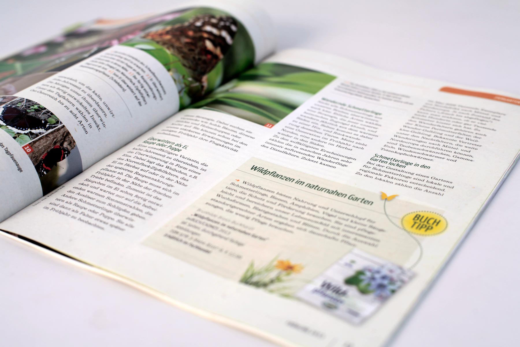 Beispiel Innenseite Wildpflanzen Magazin Natur im Garten