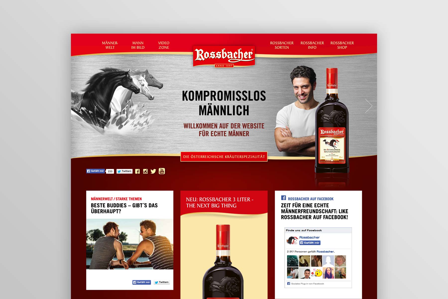 Screenshot Startseite Rossbacher 2014 Teil 1